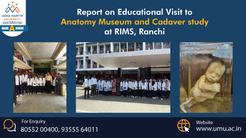 Report on Educational Visit to Anatomy Museum and Cadaver Study at RIMS, Ranchi